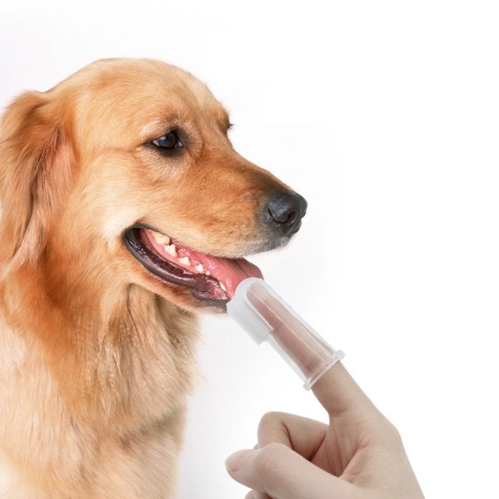 Tools & Workshop Equipment For Sale In Hampshire Page 3 50 Gumtree - Cepillo de Dientes para Mascotas Súper